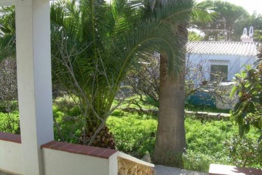 ... jardín