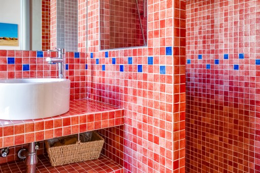El baño de huéspedes con ducha