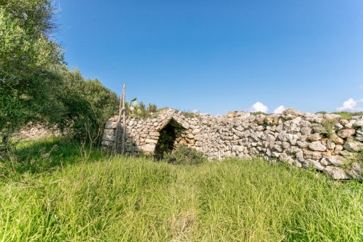 Cueva privada en el jardín
