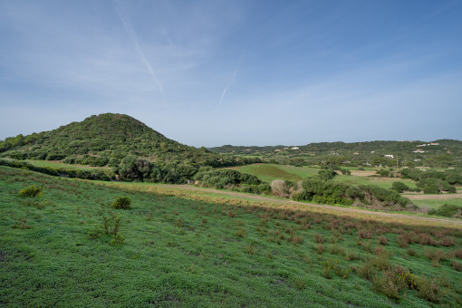 Terreno y paisaje