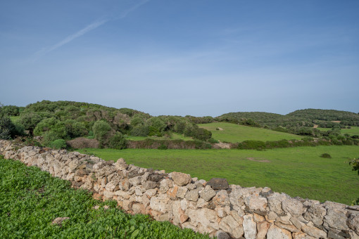 Terreno y paisaje