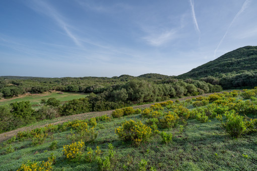 Terreno y paisaje