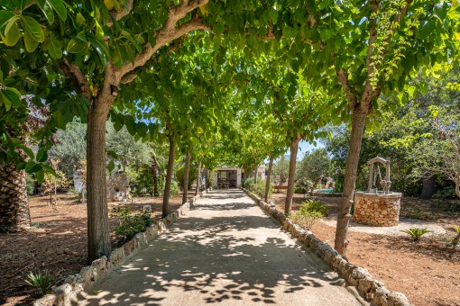 Encantadora finca pequeña con mucho terreno y una piscina cerca de Sant Lluis