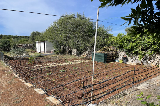 Jardín