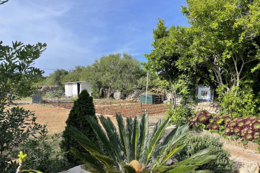 Jardín