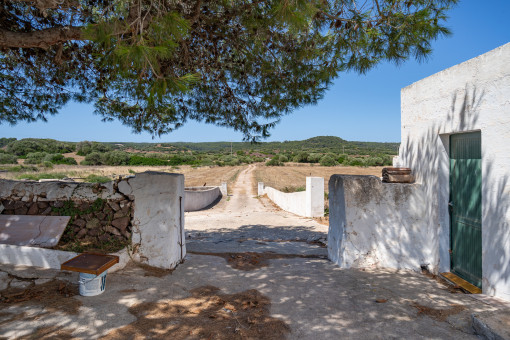 Finca