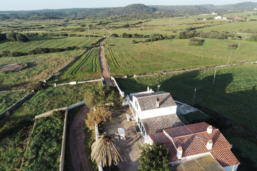 Finca
