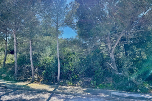 Vista al terreno