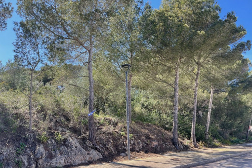 Vista al terreno