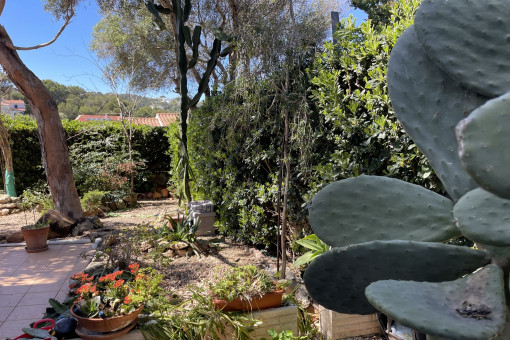 Jardín
