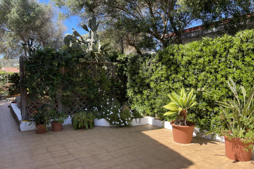 Terraza